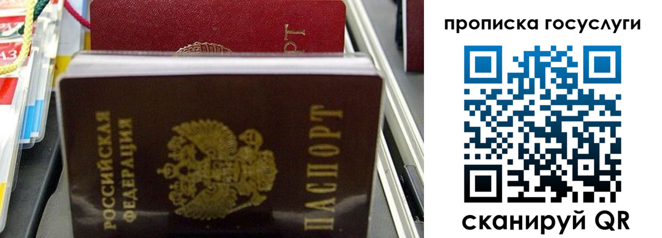 где прописаться в Гусь-Хрустальном